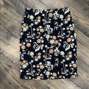 NWT Ann Taylor Skirt Size 6